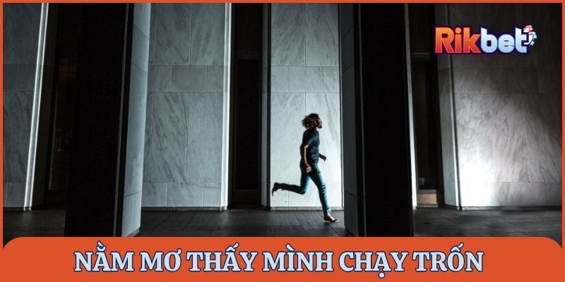 nam-mo-thay-minh-chay-tron-danh-de-con-gi
